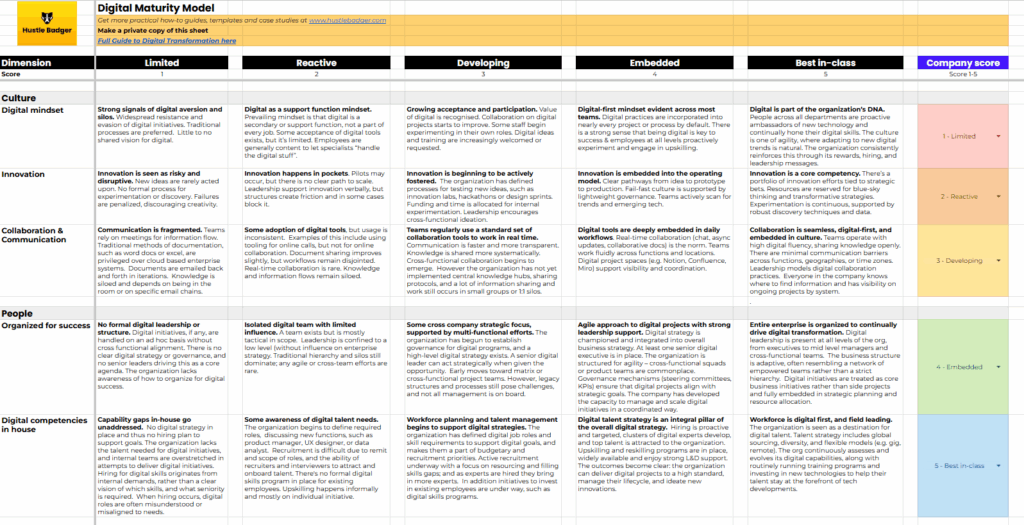 Hustle Badger digital maturity scoring sheet