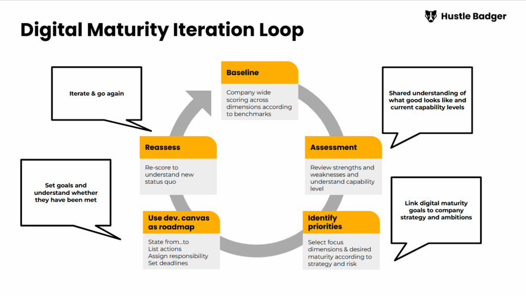 Digital Maturity iteration loop
