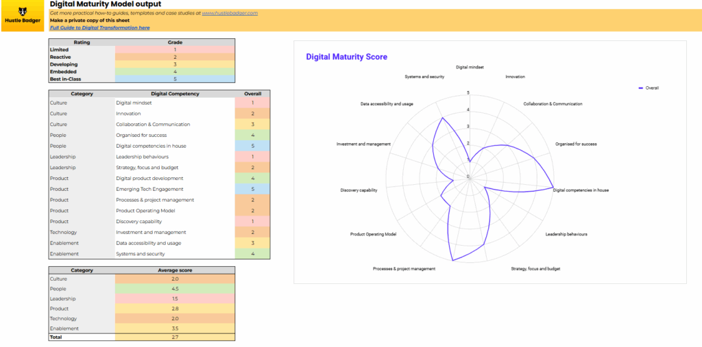 Hustle Badger Digital Maturity Model Assessment output