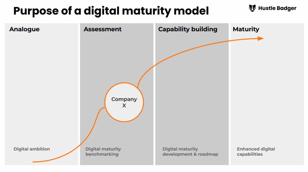 Purpose of a digital maturity model