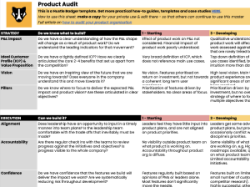Product Audit