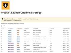 Product Launch Channel Strategy _ Notion